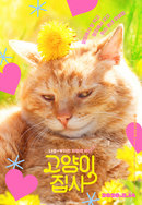 고양이 집사